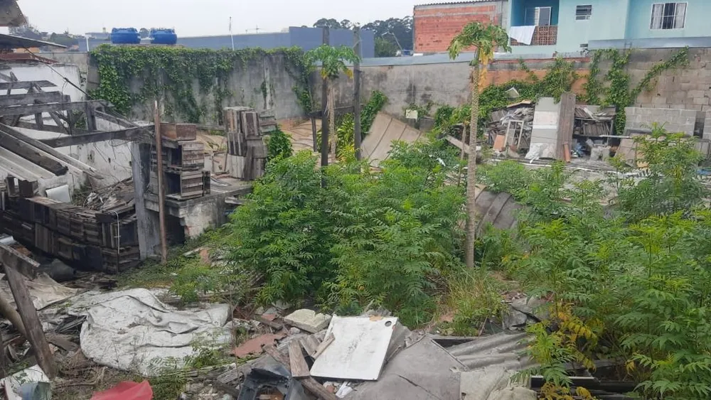 Terreno, 1000 m² - Foto 3