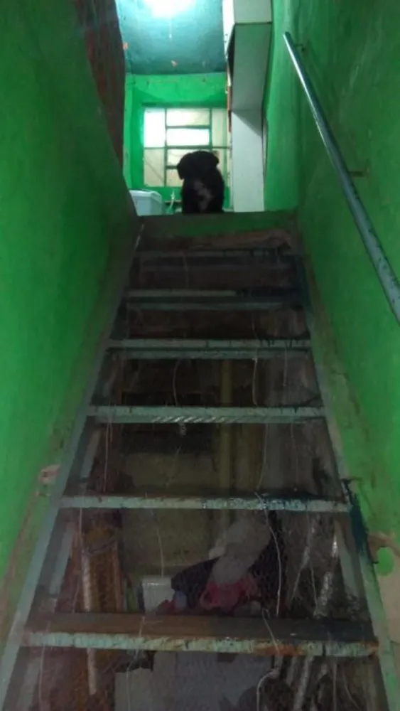 Sobrado, 2 quartos, 36 m² - Foto 1