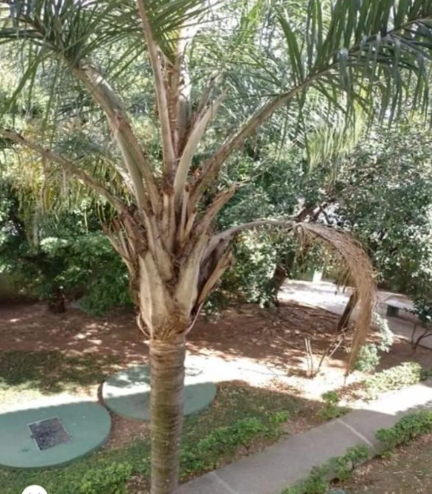 Apartamento, 2 quartos, 42 m² - Foto 3