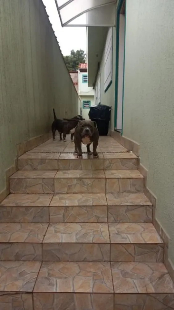 Casa, 2 quartos, 160 m² - Foto 4