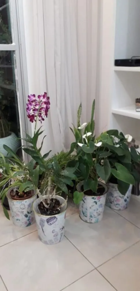 Apartamento, 2 quartos, 60 m² - Foto 9