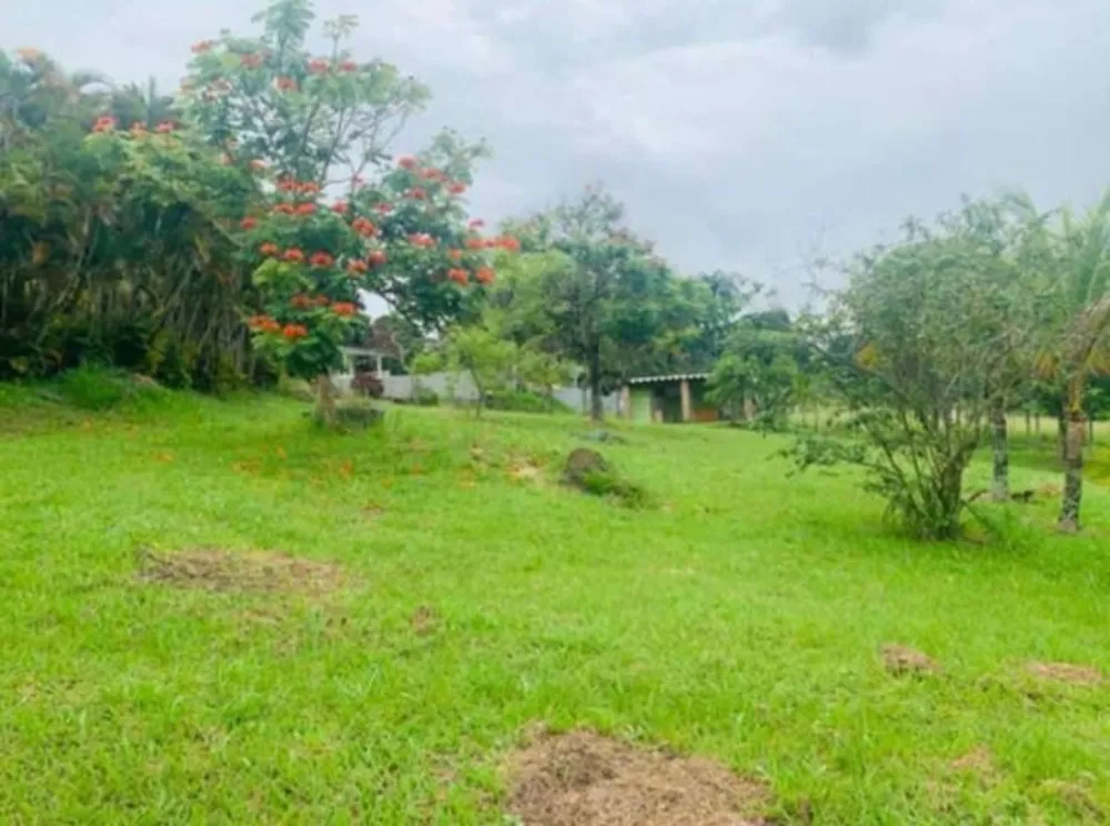 Chácara, 2 quartos, 5700 m² - Foto 10
