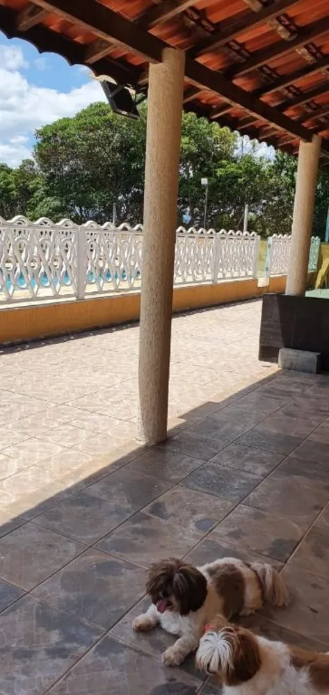 Chácara, 3 quartos, 2100 m² - Foto 6