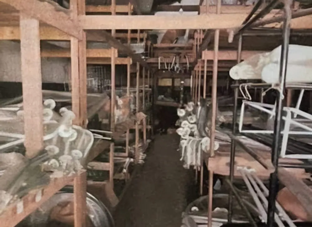 Depósito-Galpão, 300 m² - Foto 6