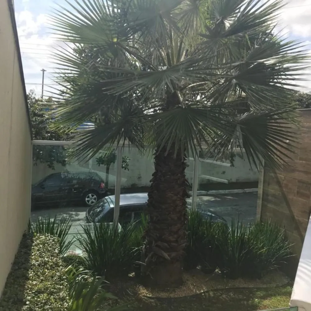 Apartamento, 2 quartos, 41 m² - Foto 7