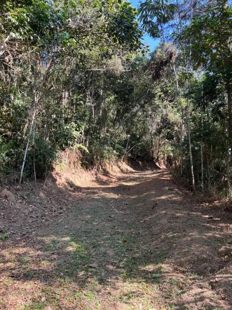 Terreno, 8 hectares - Foto 2
