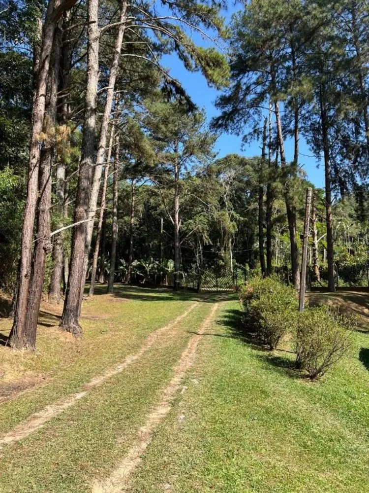 Terreno, 8 hectares - Foto 6