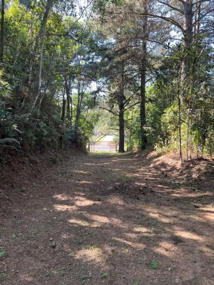 Terreno, 8 hectares - Foto 8