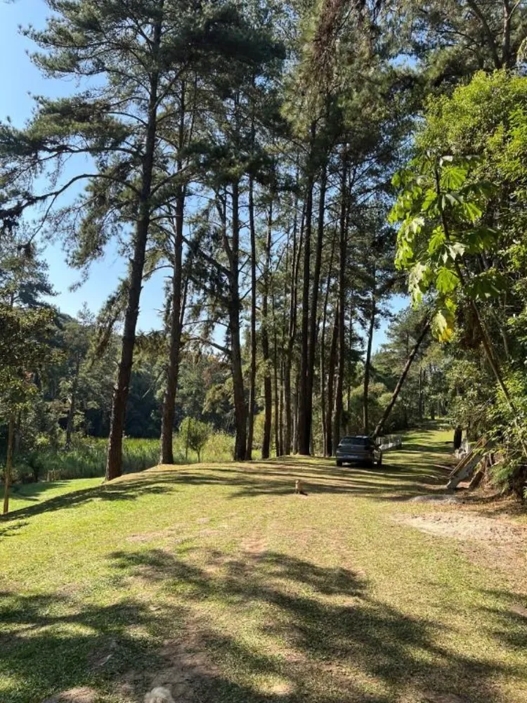 Terreno, 8 hectares - Foto 7