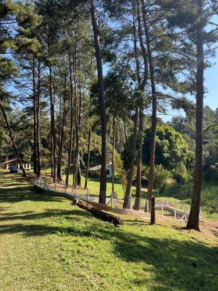 Terreno, 8 hectares - Foto 1