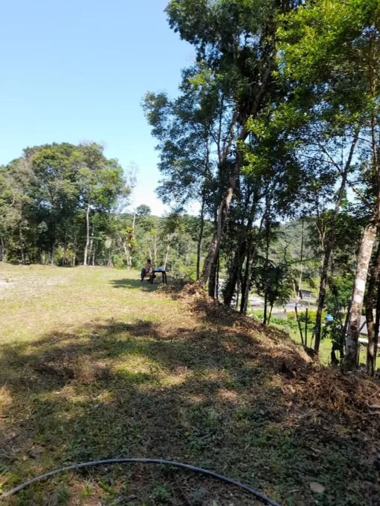 Chácara, 2 quartos, 5325 m² - Foto 6