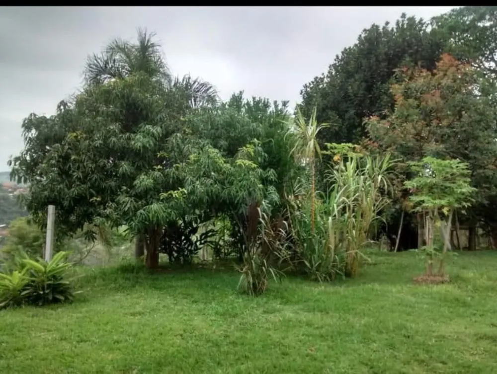 Sítio, 2 quartos, 5 hectares - Foto 7