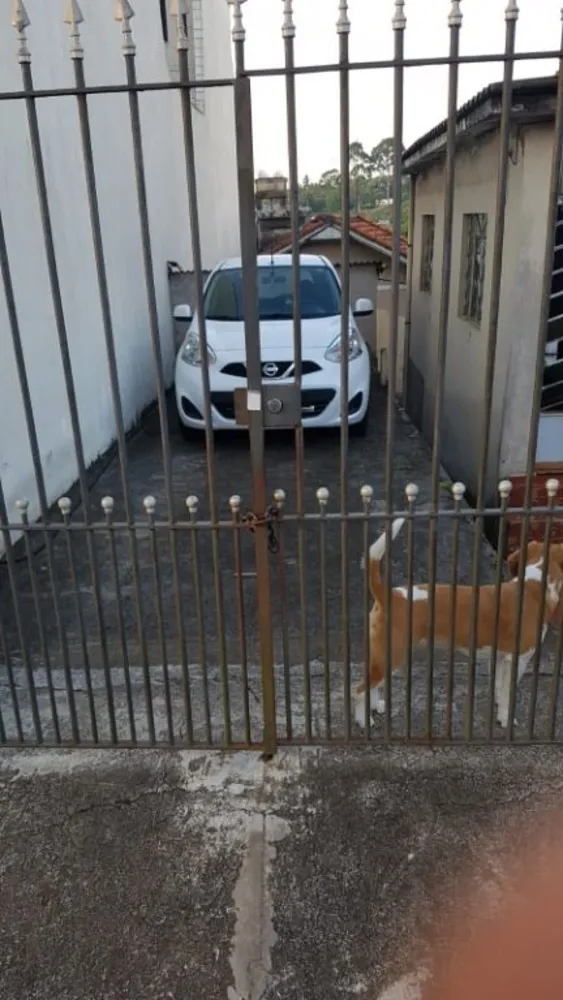 Terreno, 300 m² - Foto 4