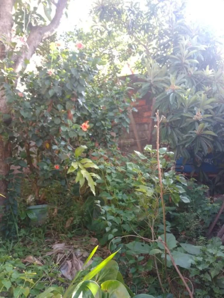 Casa, 3 quartos, 90 m² - Foto 3