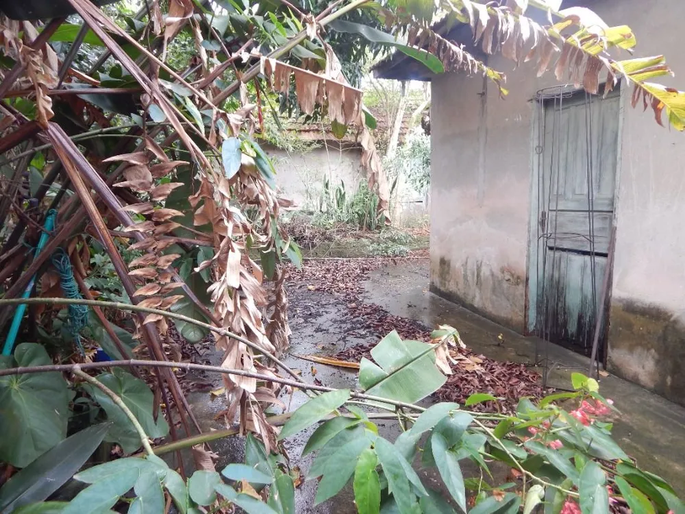 Terreno, 450 m² - Foto 7