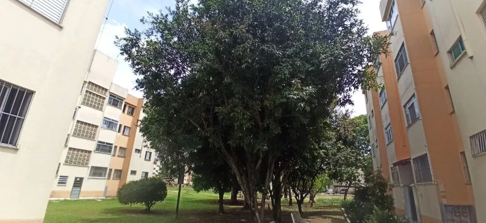 Apartamento, 2 quartos, 58 m² - Foto 3