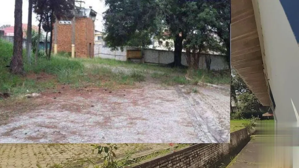 Depósito-Galpão, 5441 m² - Foto 4