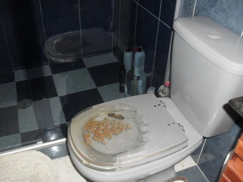 Sobrado, 3 quartos, 122 m² - Foto 6