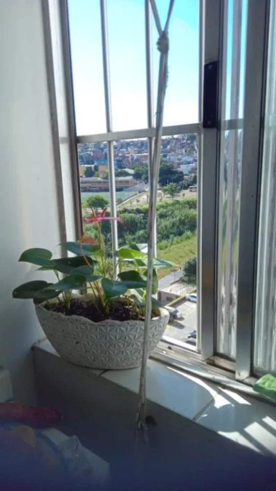 Apartamento, 2 quartos, 48 m² - Foto 6