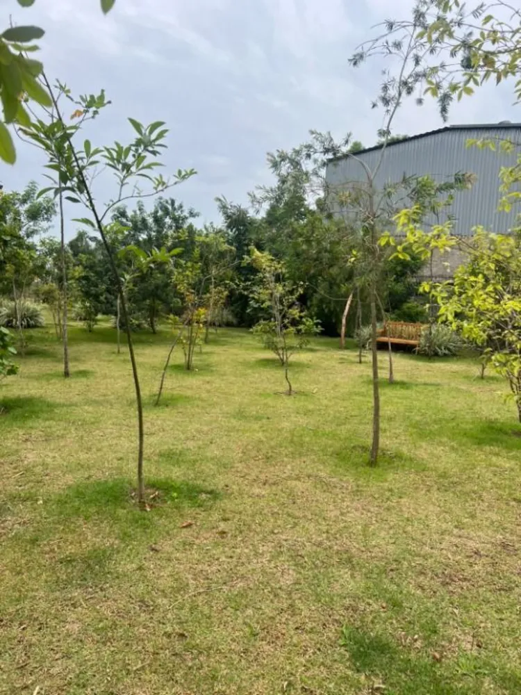 Apartamento, 2 quartos, 39 m² - Foto 7
