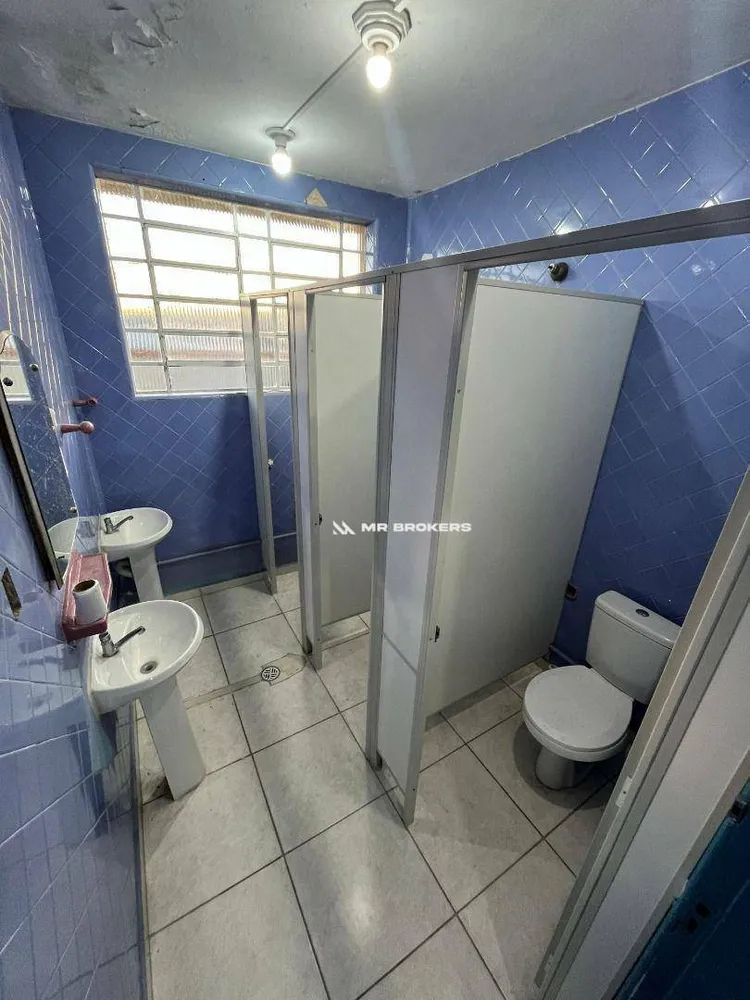 Casa, 5 quartos, 250 m² - Foto 13