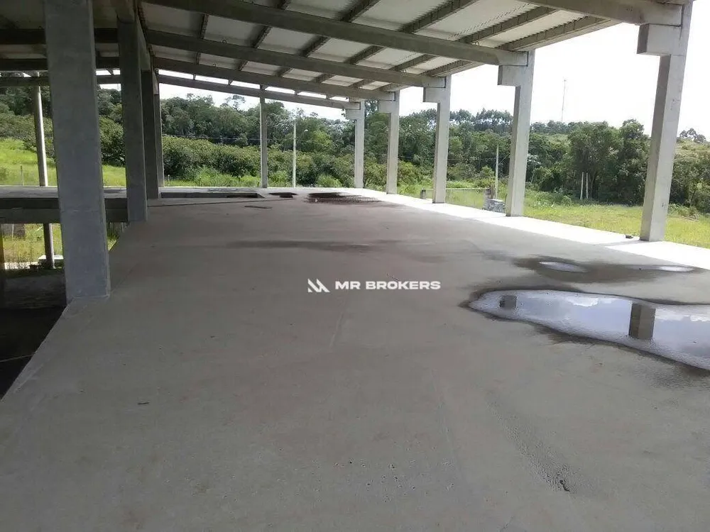 Depósito-Galpão, 4000 m² - Foto 4
