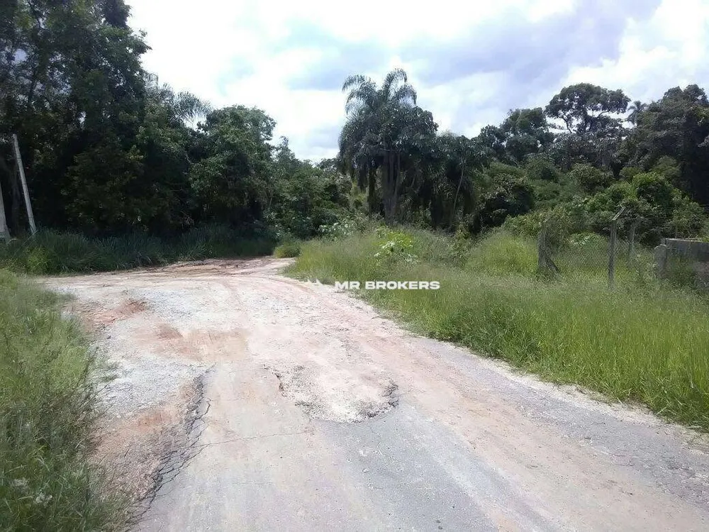 Depósito-Galpão, 4000 m² - Foto 2