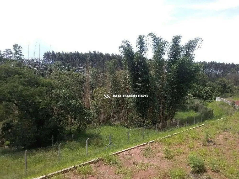 Depósito-Galpão, 4000 m² - Foto 5