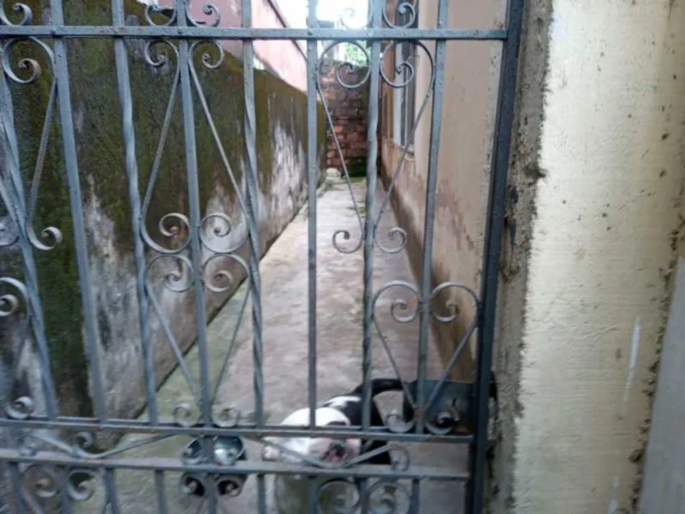 Casa, 3 quartos, 399 m² - Foto 21