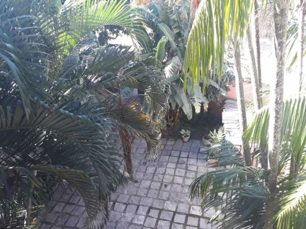 Casa, 4 quartos, 600 m² - Foto 4