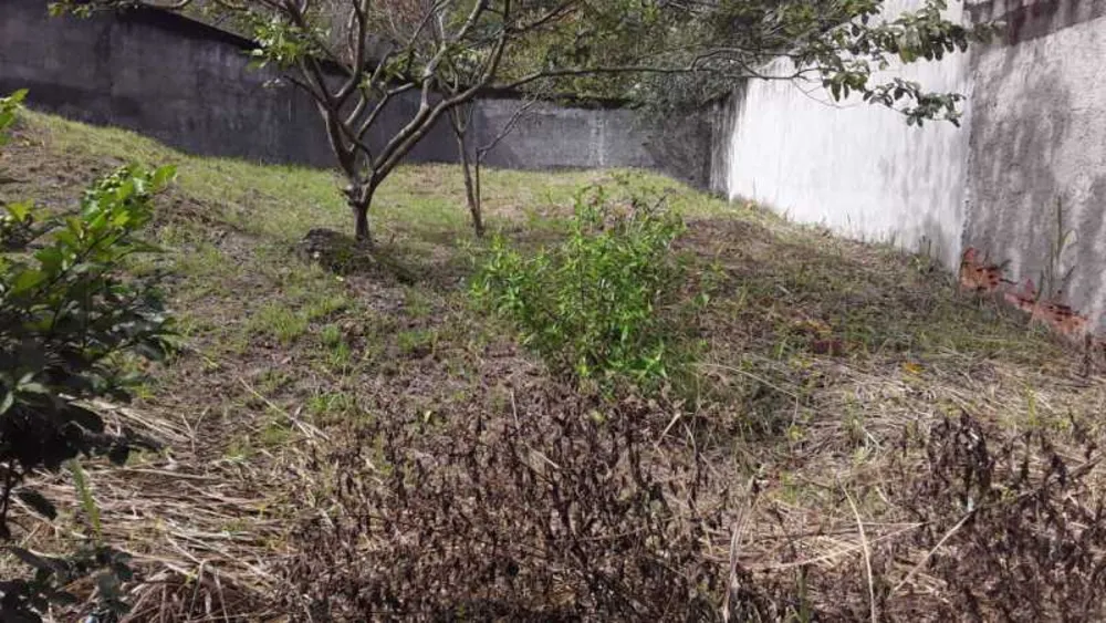 Terreno - Foto 1