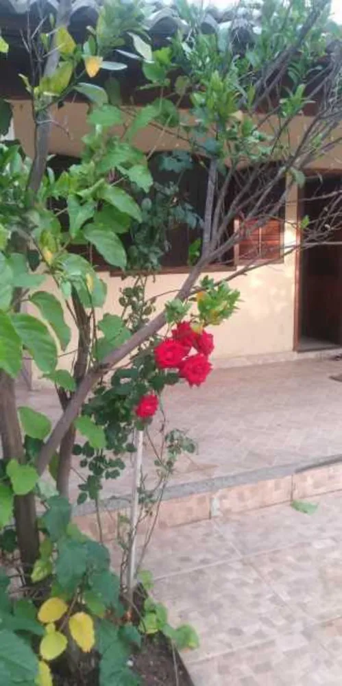 Casa, 3 quartos, 100 m² - Foto 2