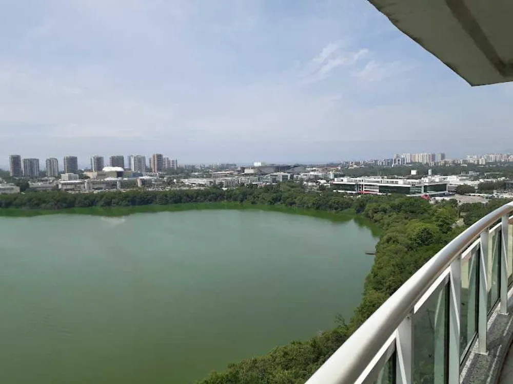 Cobertura, 4 quartos, 487 m² - Foto 13