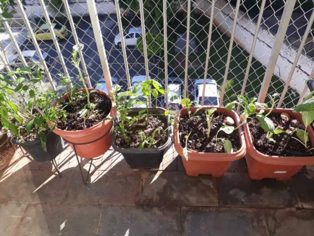 Apartamento, 2 quartos, 60 m² - Foto 18