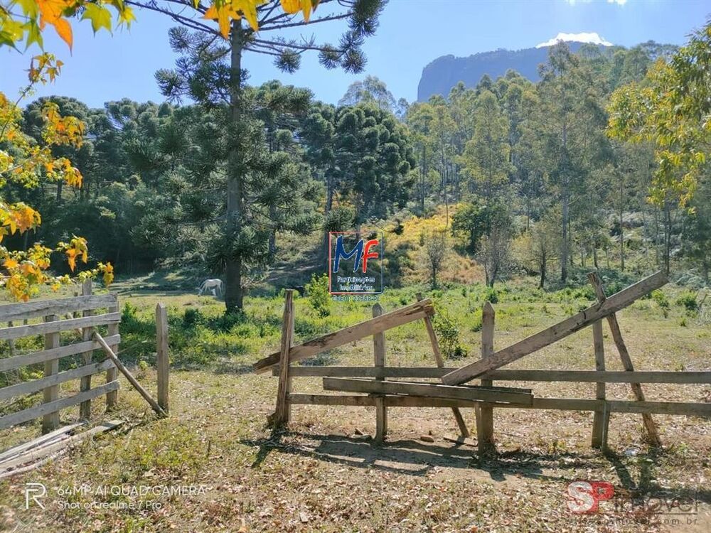 Terreno, 230000 m² - Foto 2