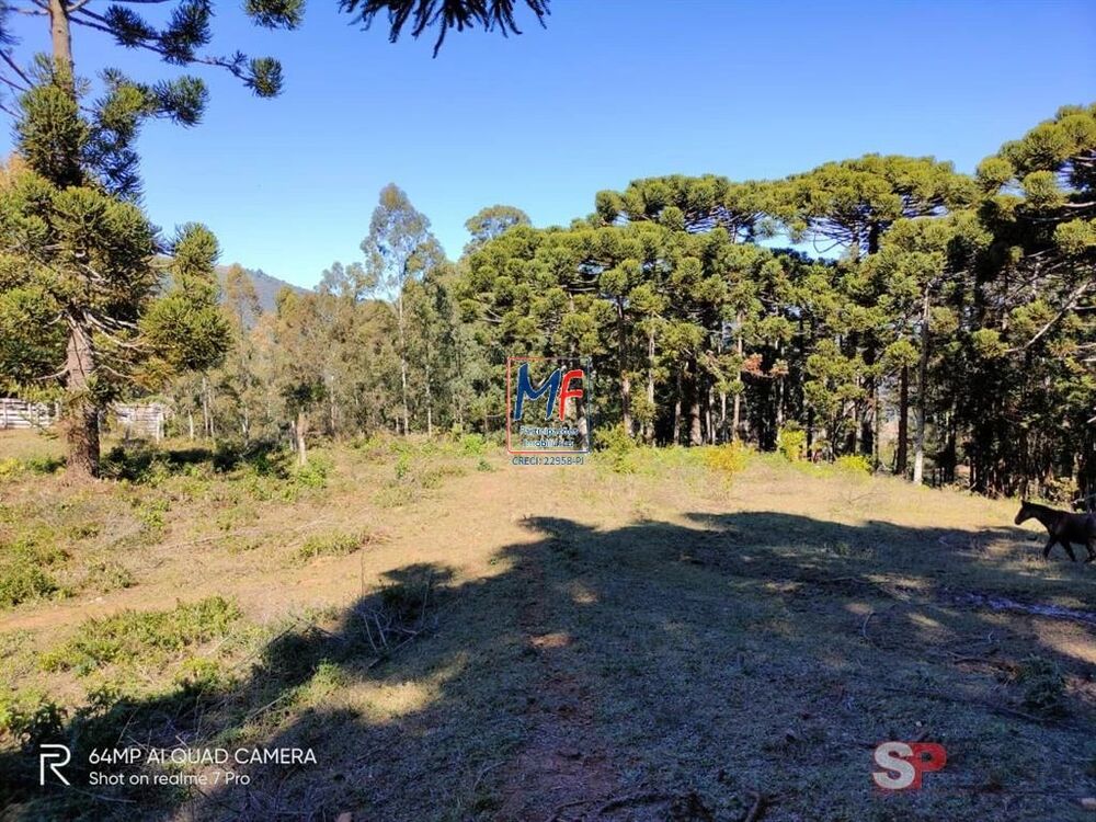 Terreno, 230000 m² - Foto 7