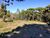 Terreno, 230000 m² - Foto 3