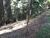 Terreno, 2492 m² - Foto 2