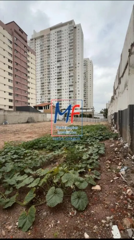 Terreno, 1577 m² - Foto 2