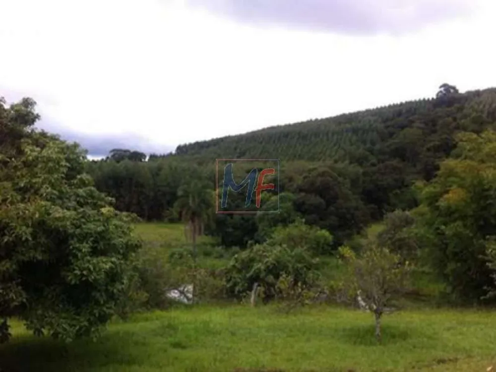 Sítio, 6 quartos, 1000 m² - Foto 7