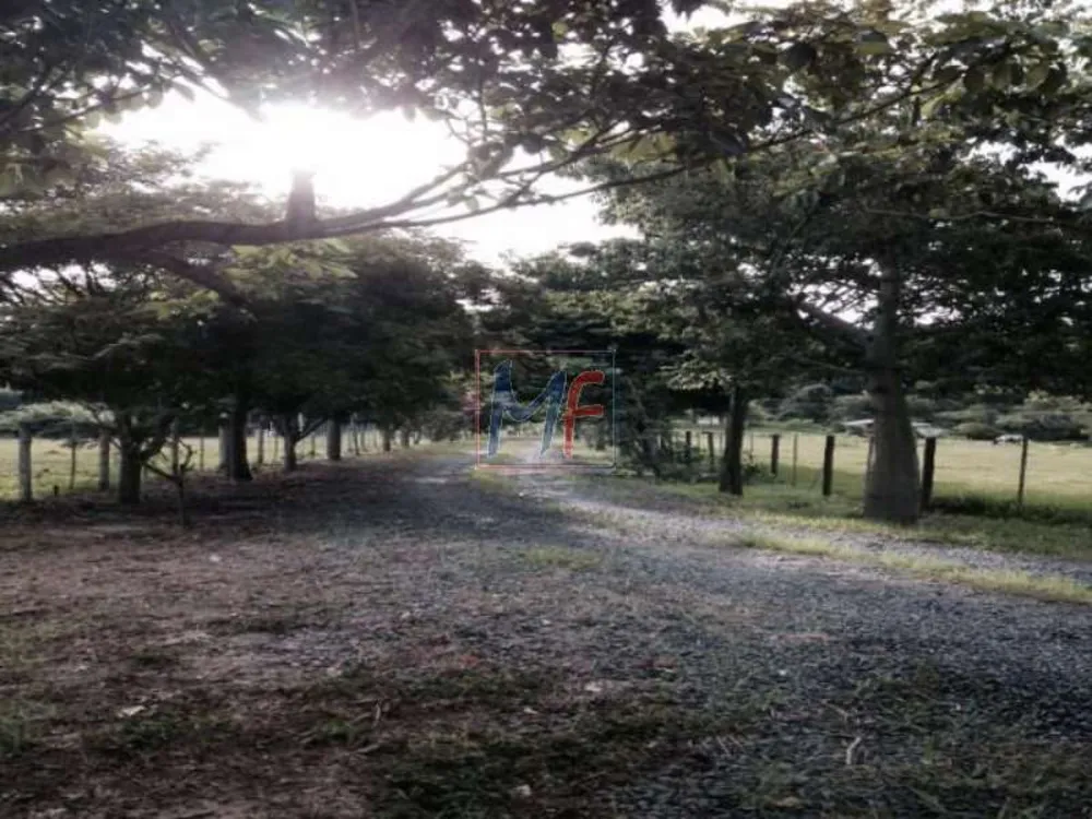 Sítio, 6 quartos, 1000 m² - Foto 5