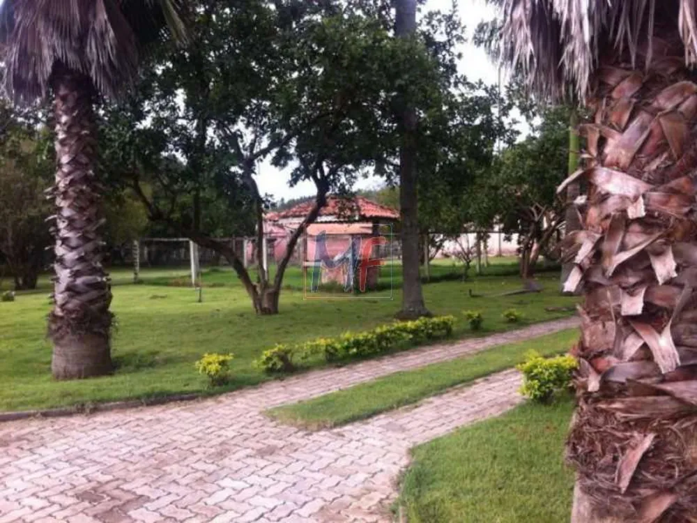 Sítio, 6 quartos, 1000 m² - Foto 6