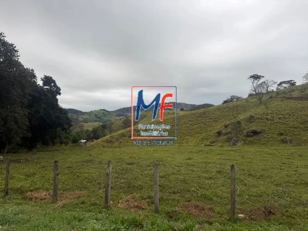 Fazenda, 53 hectares - Foto 4