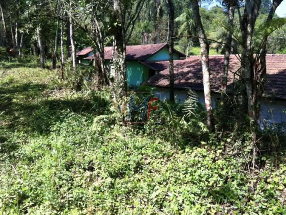 Terreno, 53181 m² - Foto 2