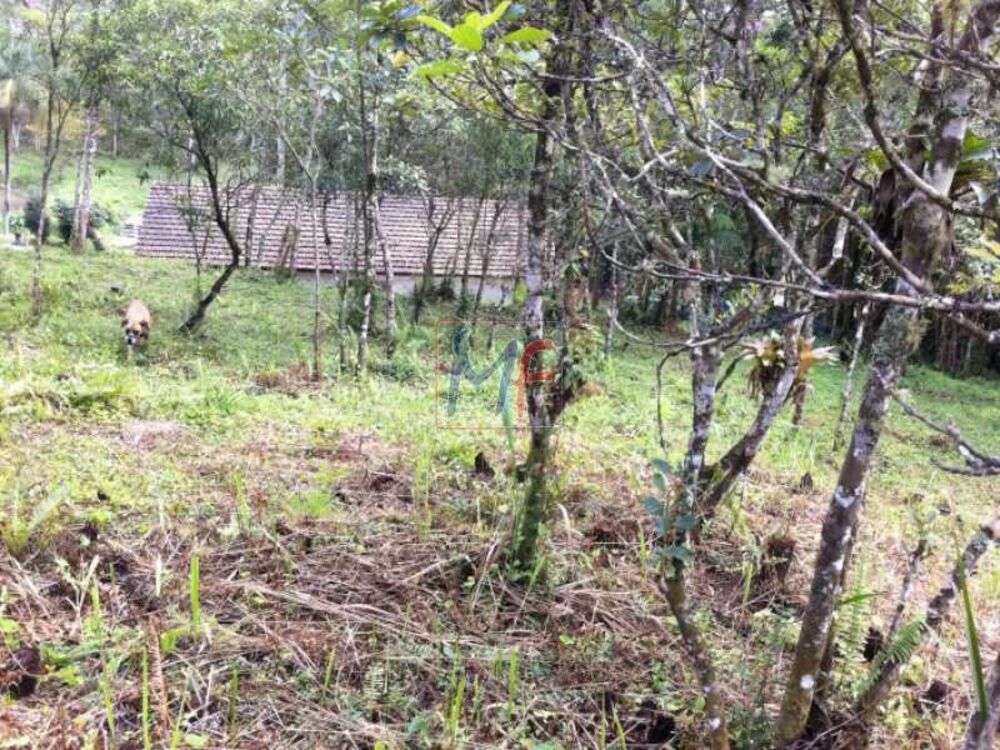 Terreno, 53181 m² - Foto 2