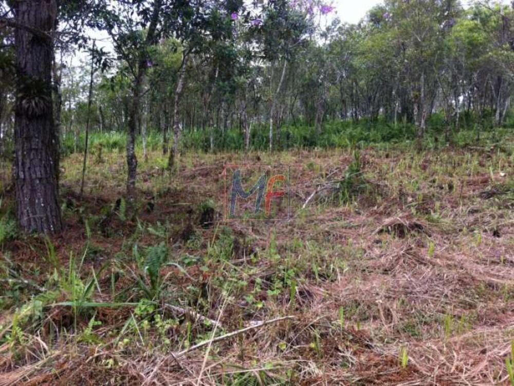 Terreno, 53181 m² - Foto 3