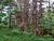 Terreno, 1210000 m² - Foto 16