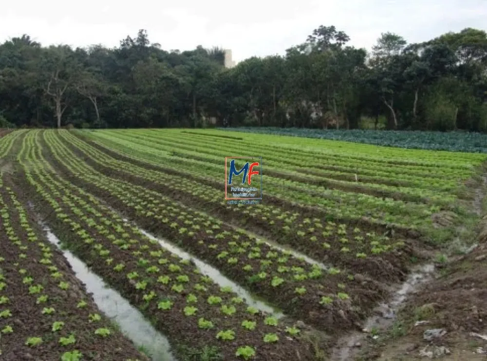 Terreno, 26000 m² - Foto 1