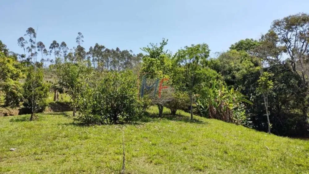 Sítio, 7 quartos, 19 hectares - Foto 11
