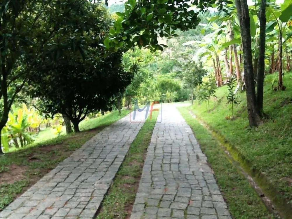 Sítio, 7 quartos, 19 hectares - Foto 10